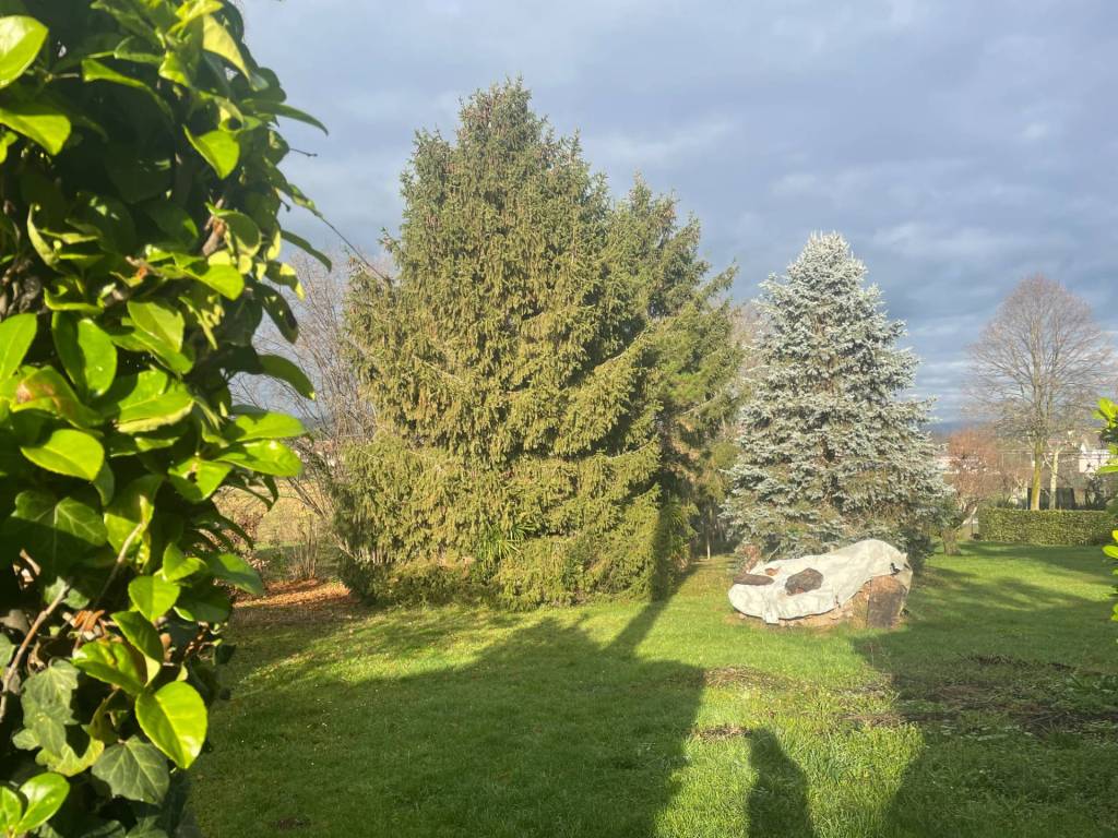 Terreno a Capriva del friuli - Foto 4