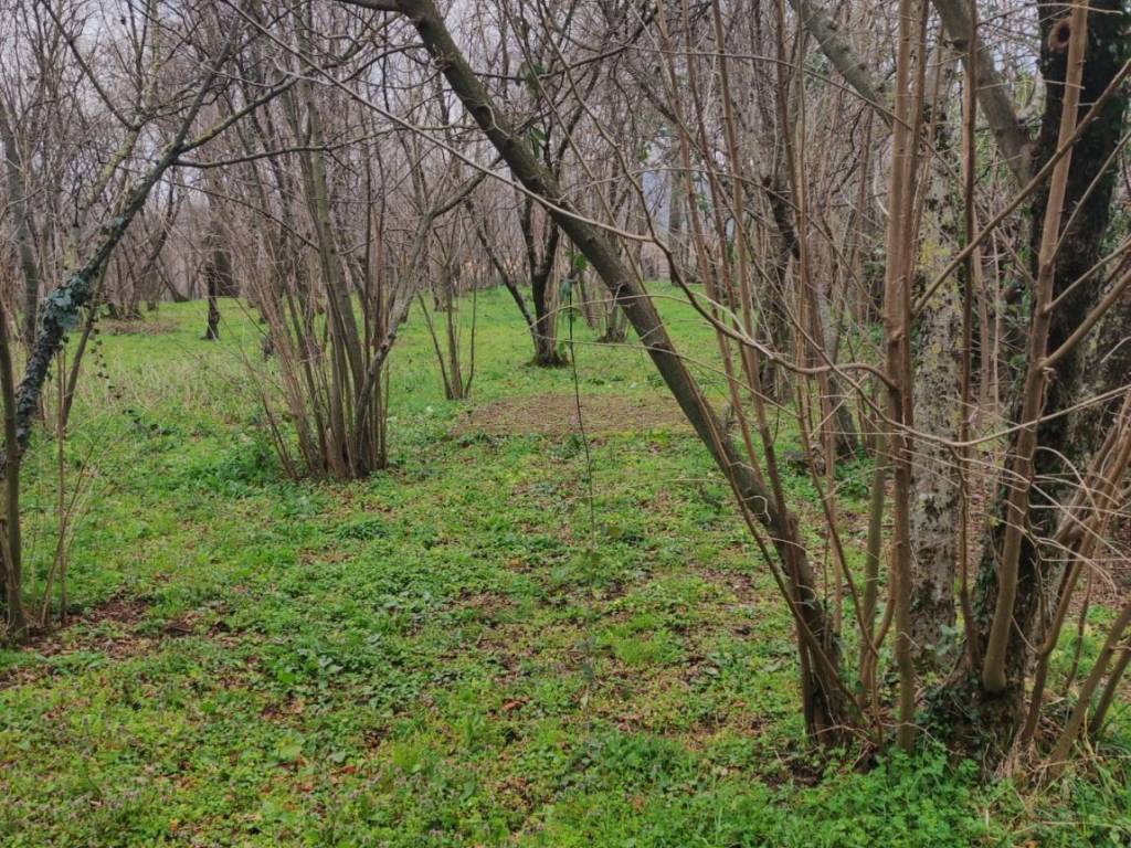Rustico / casale a Mercogliano in Contrada Serroni - Foto 4