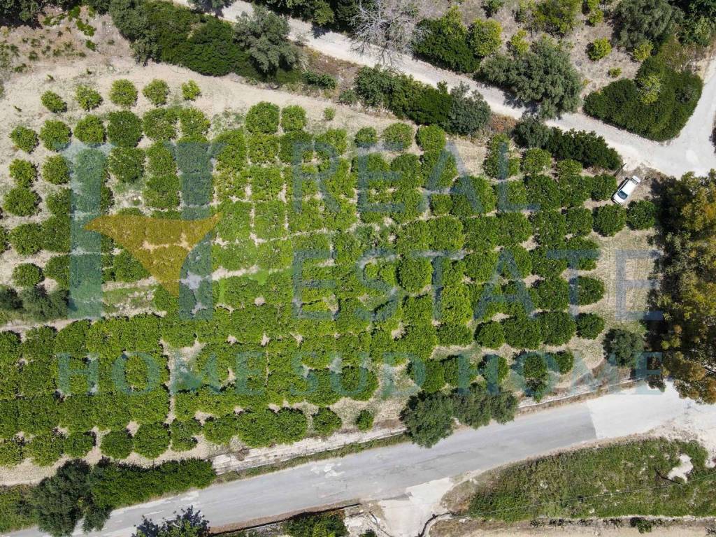 Terreno a Noto in Via Tommaso Fazello, 228 - Foto 3