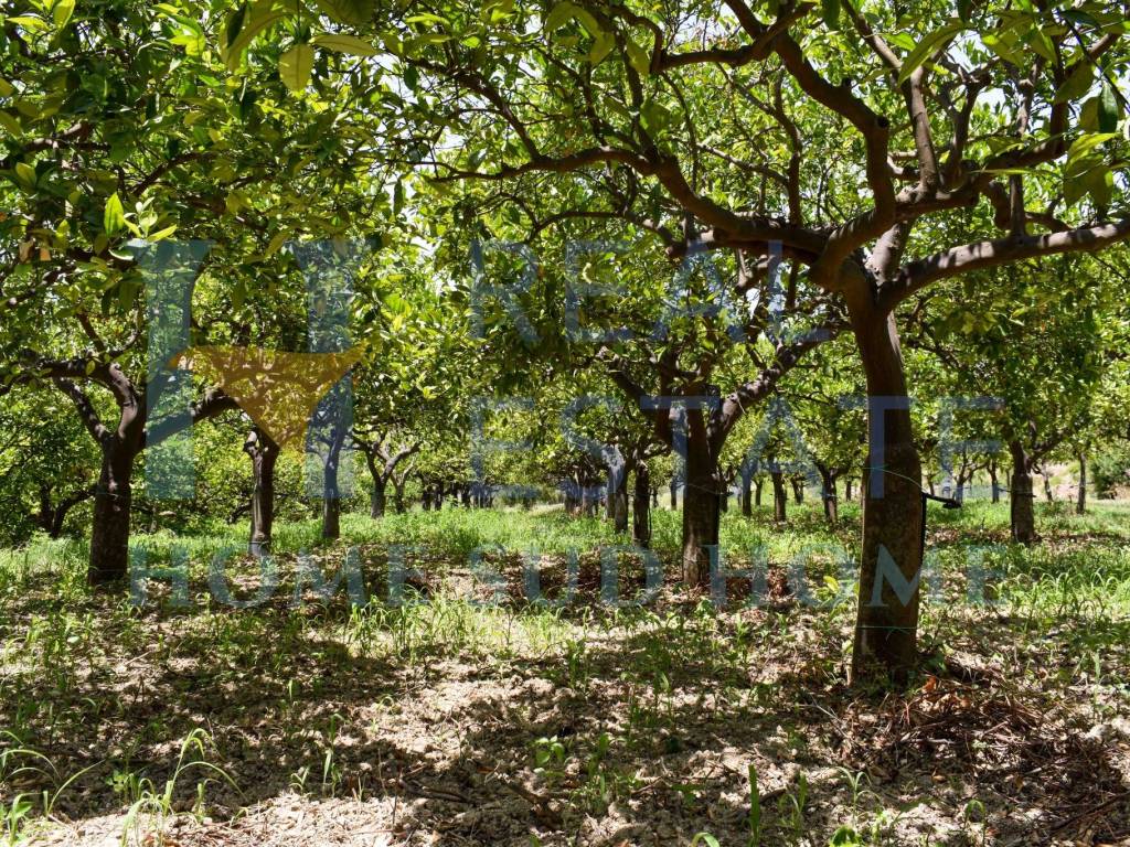 Terreno a Noto in Via Tommaso Fazello, 228 - Foto 4