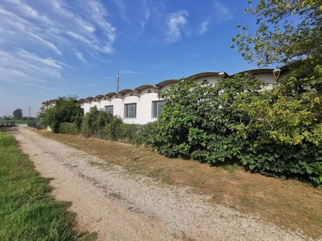 Immobile a Cerea in Via Roma, 4/A - Foto 2