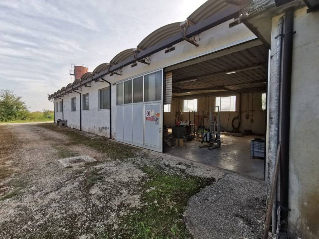 Immobile a Cerea in Via Roma, 4/A - Foto 3