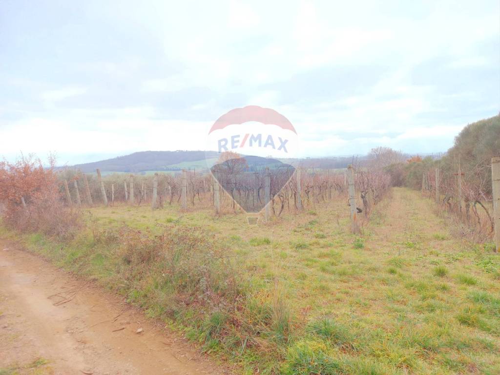 Terreno a Montefiascone in Località momma - Foto 2