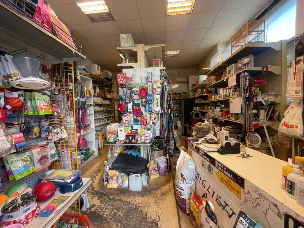 Immobile a Gorizia in Piazzale Medaglie d'Oro - Foto 5