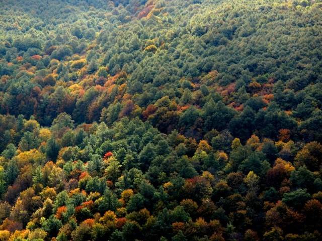 Terreno a Spoleto in San Gregorio - Foto 3