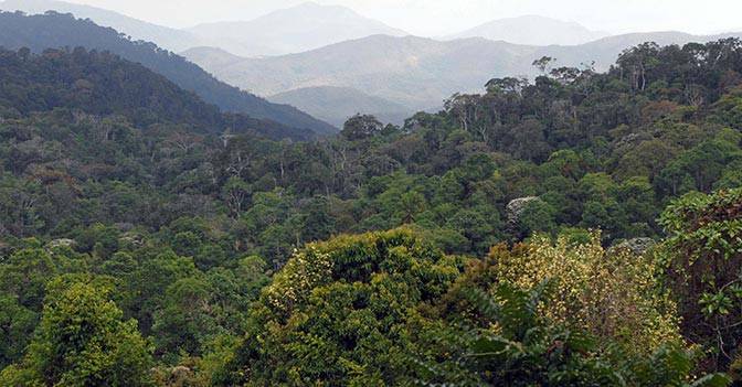 Terreno a Spoleto in San Gregorio - Foto 4