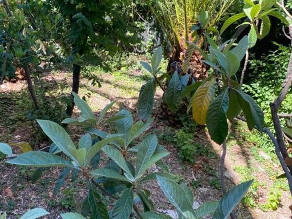 Appartamento a Falconara marittima - Foto 4