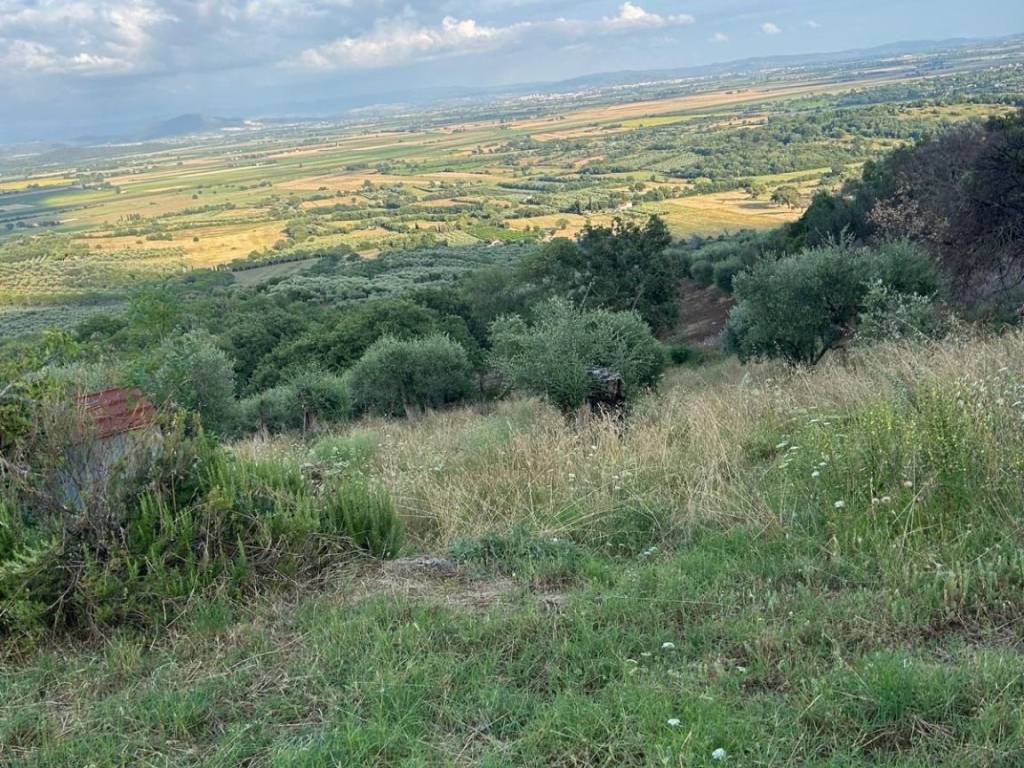 Terreno a Castiglione della pescaia in strada vicinale Badia Vecchia Casette, 5 - Foto 2
