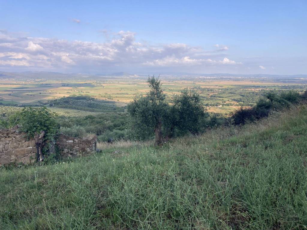 Terreno a Castiglione della pescaia in strada vicinale Badia Vecchia Casette, 5 - Foto 3