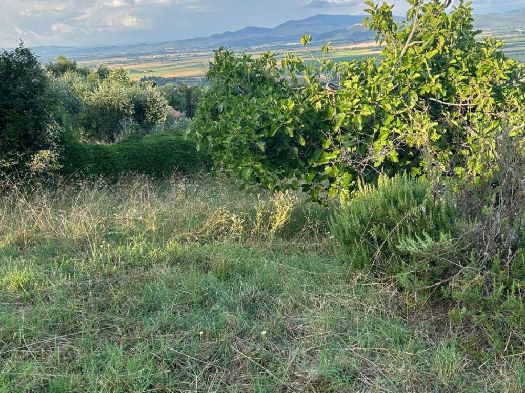 Terreno a Castiglione della pescaia in strada vicinale Badia Vecchia Casette, 5 - Foto 4