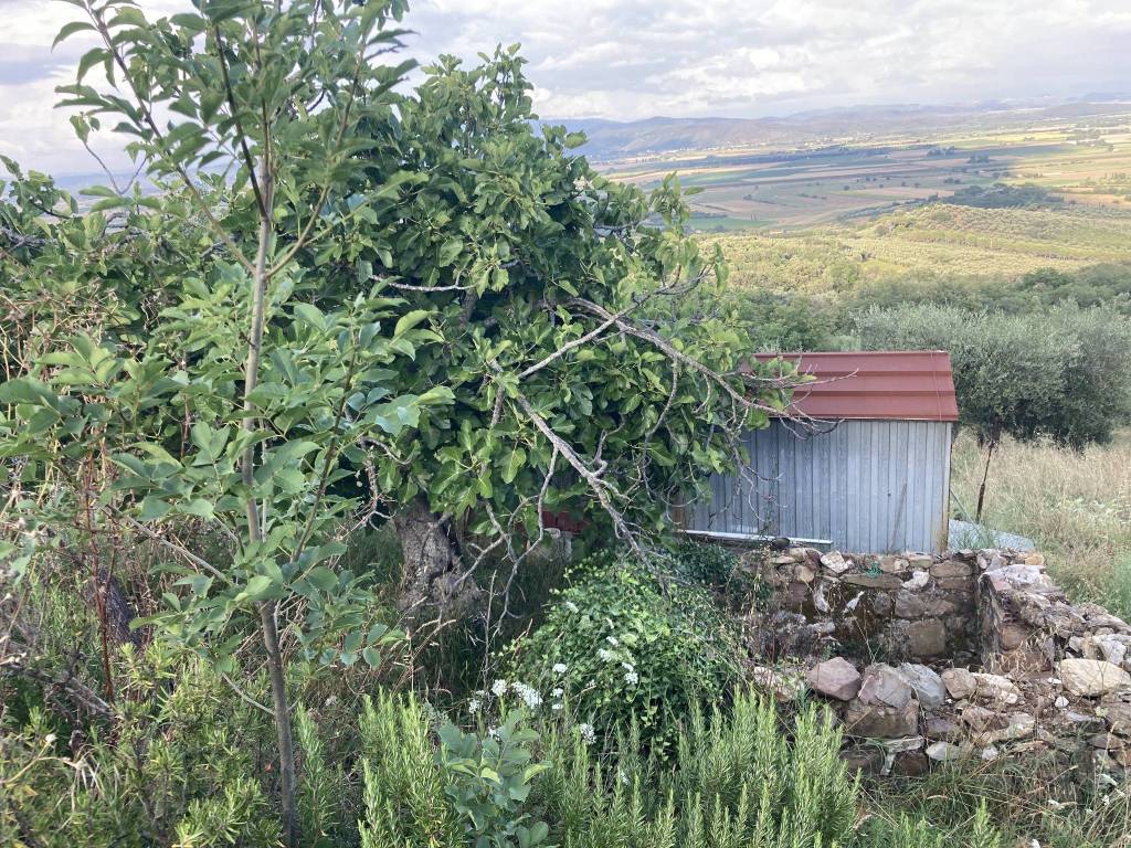 Terreno a Castiglione della pescaia in strada vicinale Badia Vecchia Casette, 5 - Foto 5