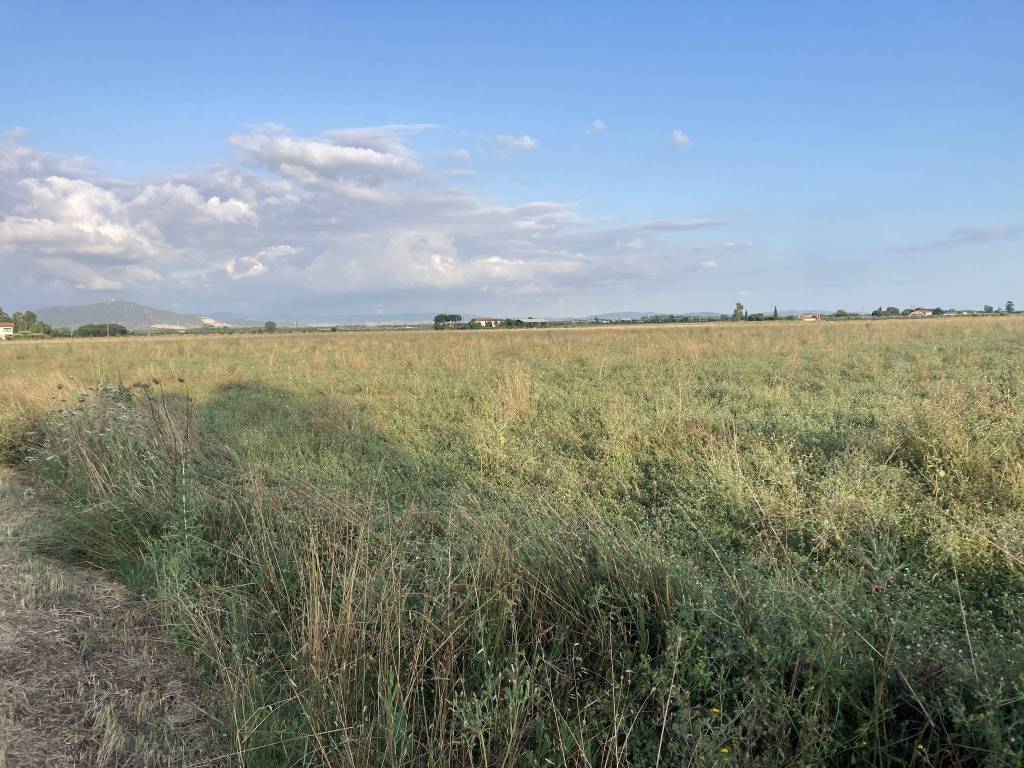 Terreno a Grosseto in strada provinciale 108, a - Foto 2
