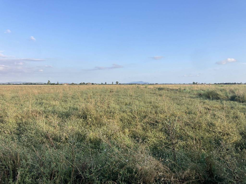 Terreno a Grosseto in strada provinciale 108, a - Foto 3