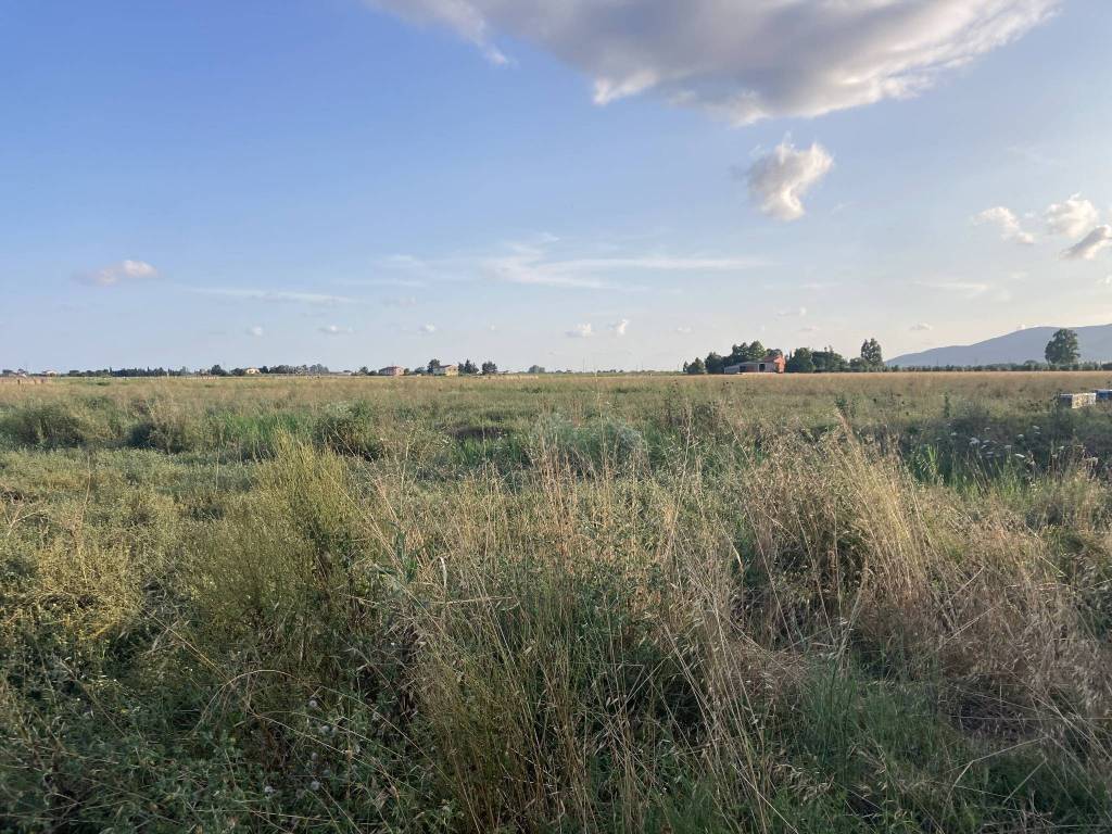 Terreno a Grosseto in strada provinciale 108, a - Foto 4