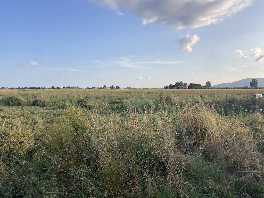 Terreno a Grosseto in strada provinciale 108, a - Foto 5