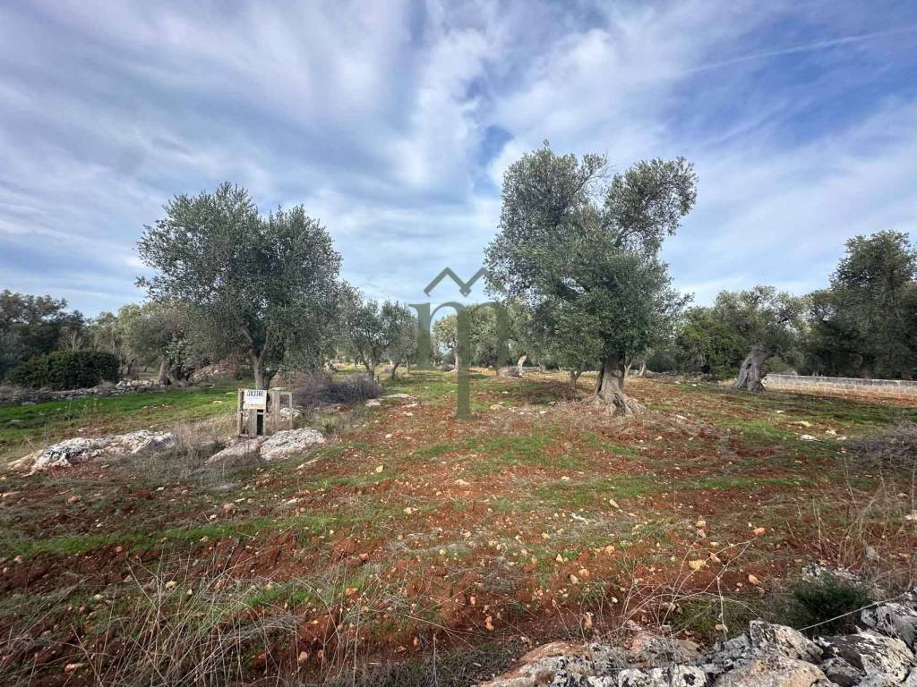 Terreno a Carovigno in Contrada Acciano - Foto 3