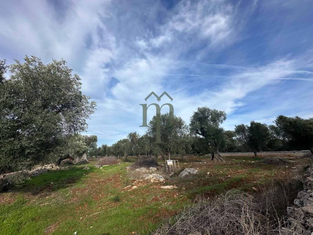 Terreno a Carovigno in Contrada Acciano - Foto 4