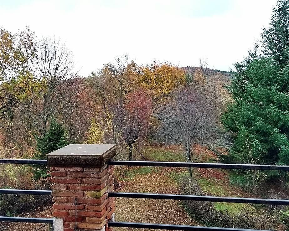 Villa a Pergola in Località Pantana - Foto 3