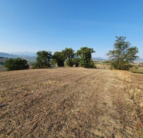 Terreno a Tolentino in Contrada Paterno - Foto 5