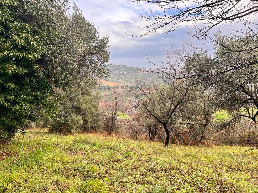 Terreno a Spoltore in Strada Sferrella - Foto 2