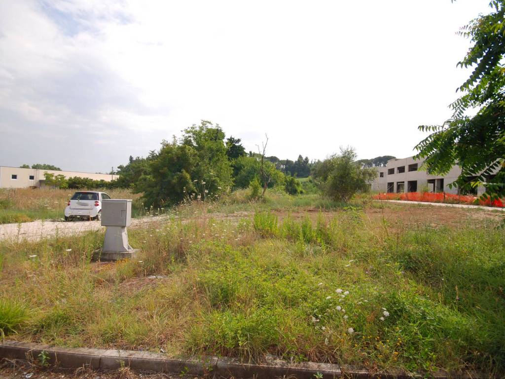 Terreno a Ascoli piceno in Strada Provinciale Folignano, 1 - Foto 2
