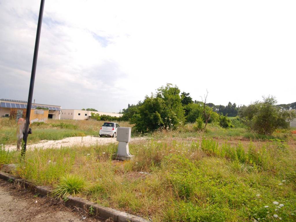 Terreno a Ascoli piceno in Strada Provinciale Folignano, 1 - Foto 3