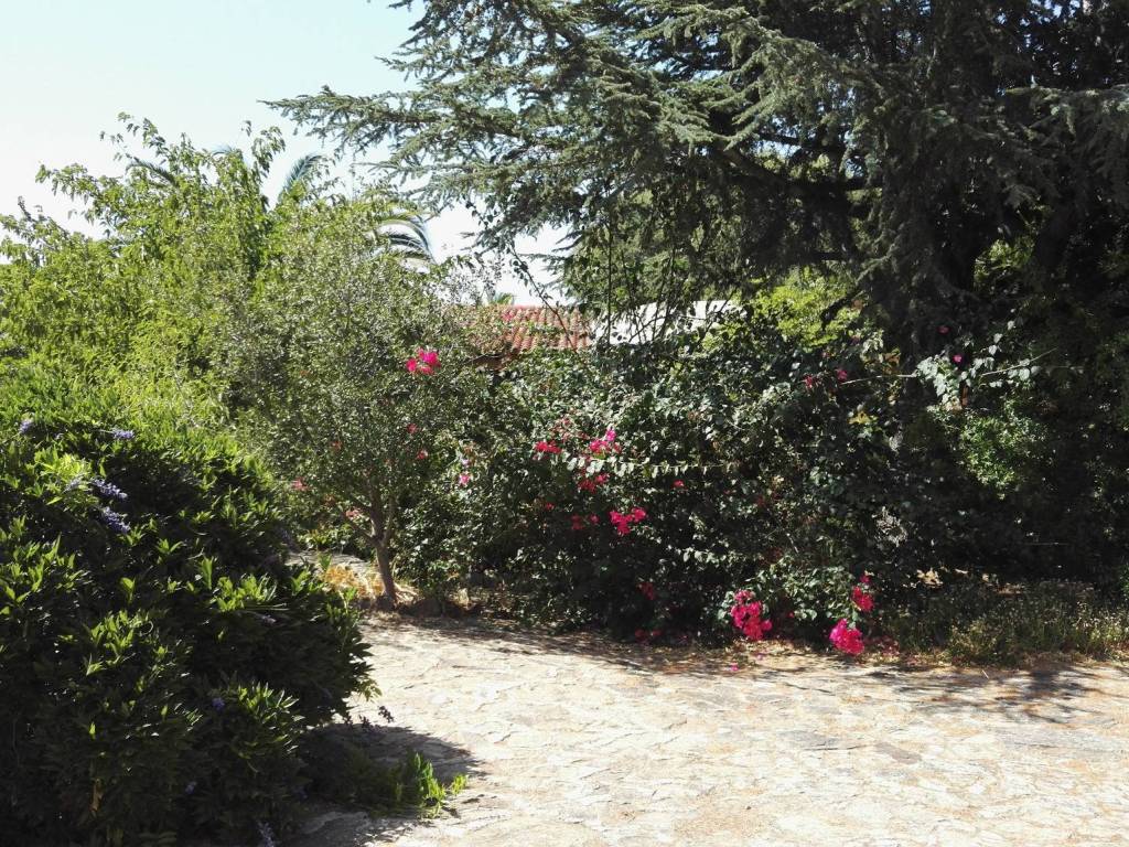 Rustico / casale a Olbia - Foto 3