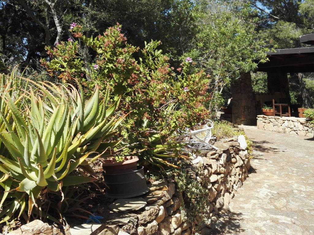 Rustico / casale a Olbia - Foto 4