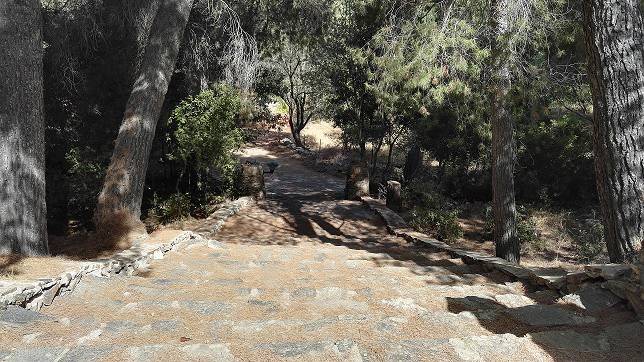 Rustico / casale a Olbia - Foto 5