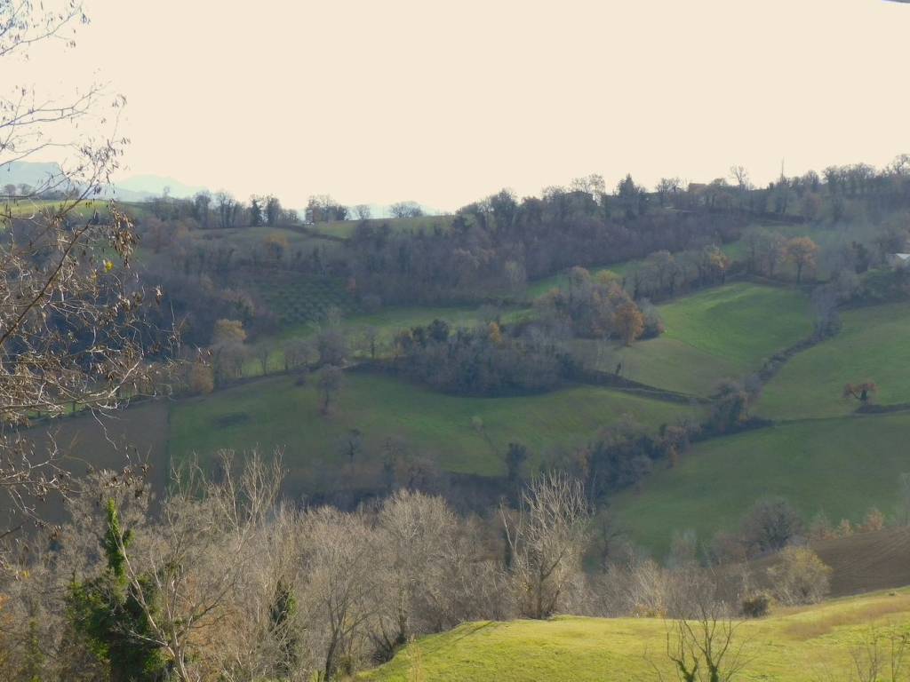 Immobile a San ginesio in Contrada Cerreto - Foto 5