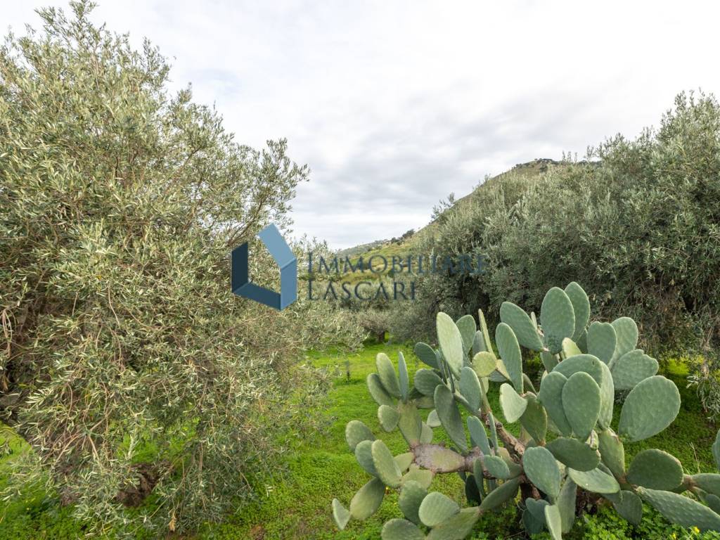 Terreno a Cefalù in Via Monte - Foto 4