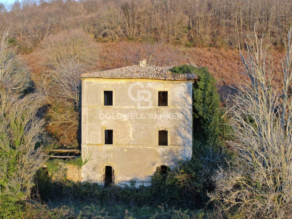 Rustico / casale a Latera in Strada Provinciale 117 Valle dell'Olpeta - Foto 2