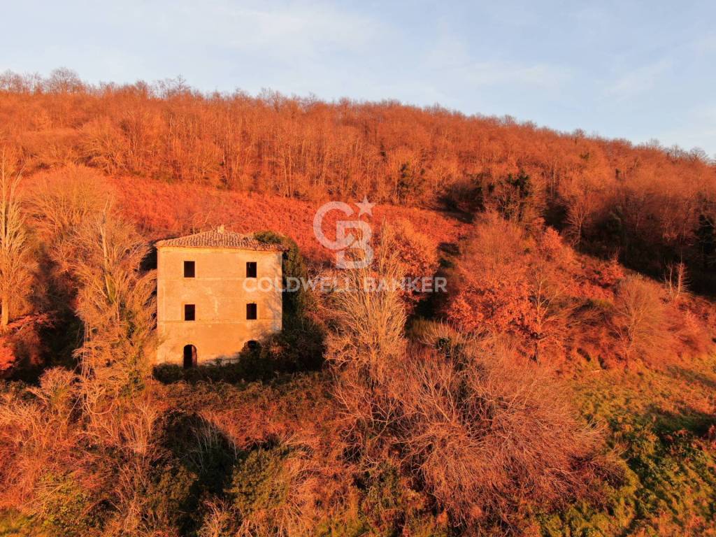 Rustico / casale a Latera in Strada Provinciale 117 Valle dell'Olpeta - Foto 3