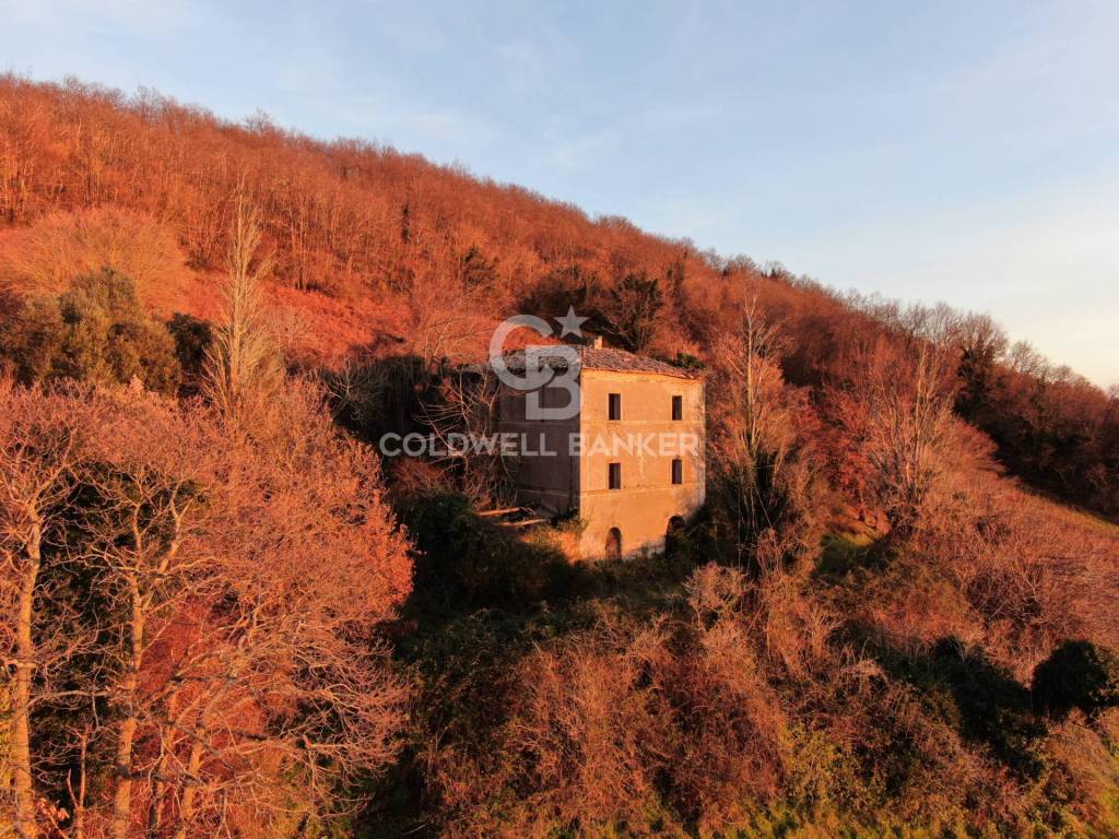 Rustico / casale a Latera in Strada Provinciale 117 Valle dell'Olpeta - Foto 4