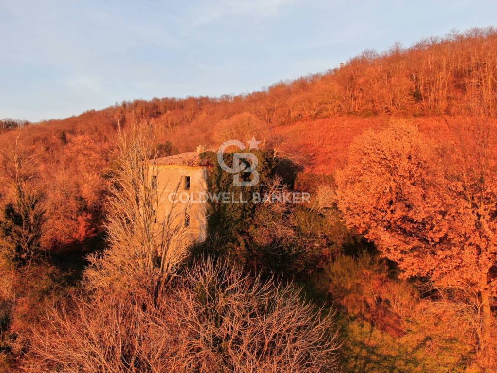 Rustico / casale a Latera in Strada Provinciale 117 Valle dell'Olpeta - Foto 5