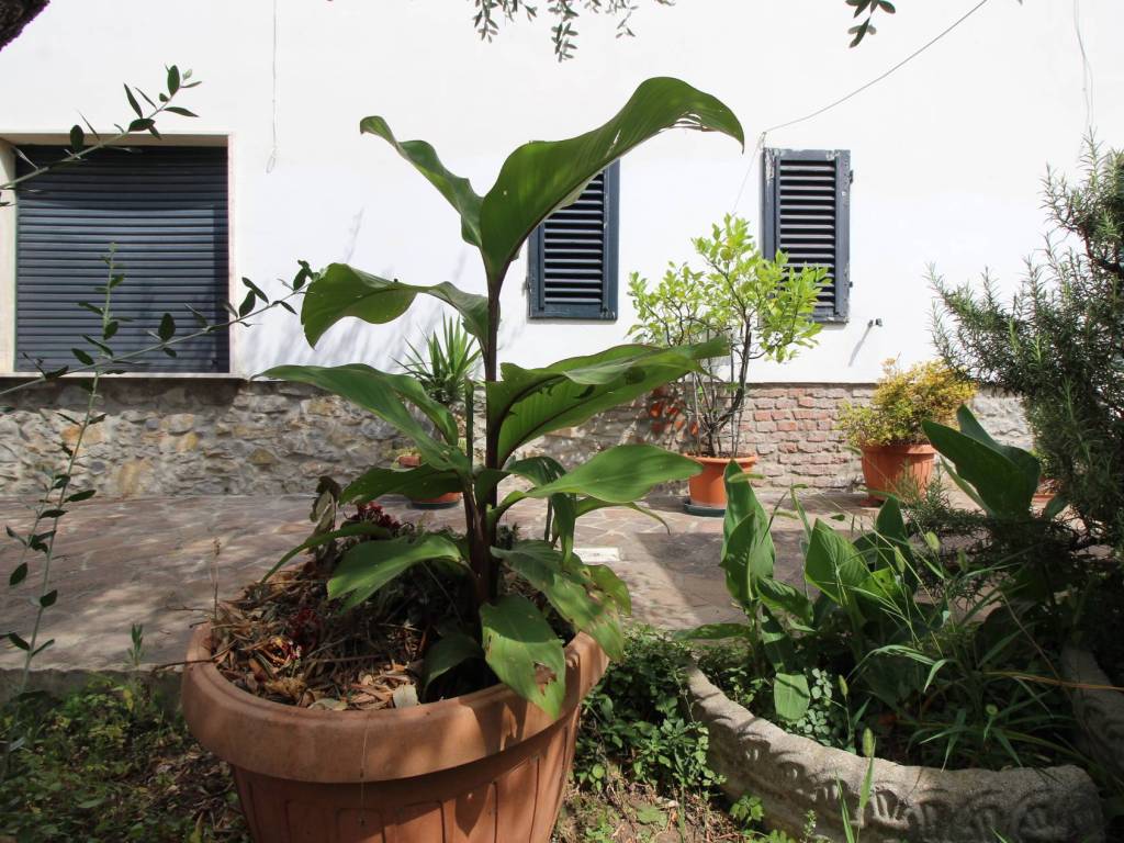 Villa a Pieve a nievole in Via Risorgimento - Foto 4