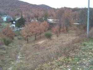 Terreno a Scoppito - Foto 4