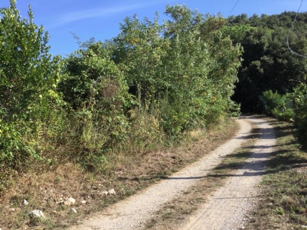 Terreno a Portoferraio in val carene, 3 - Foto 2