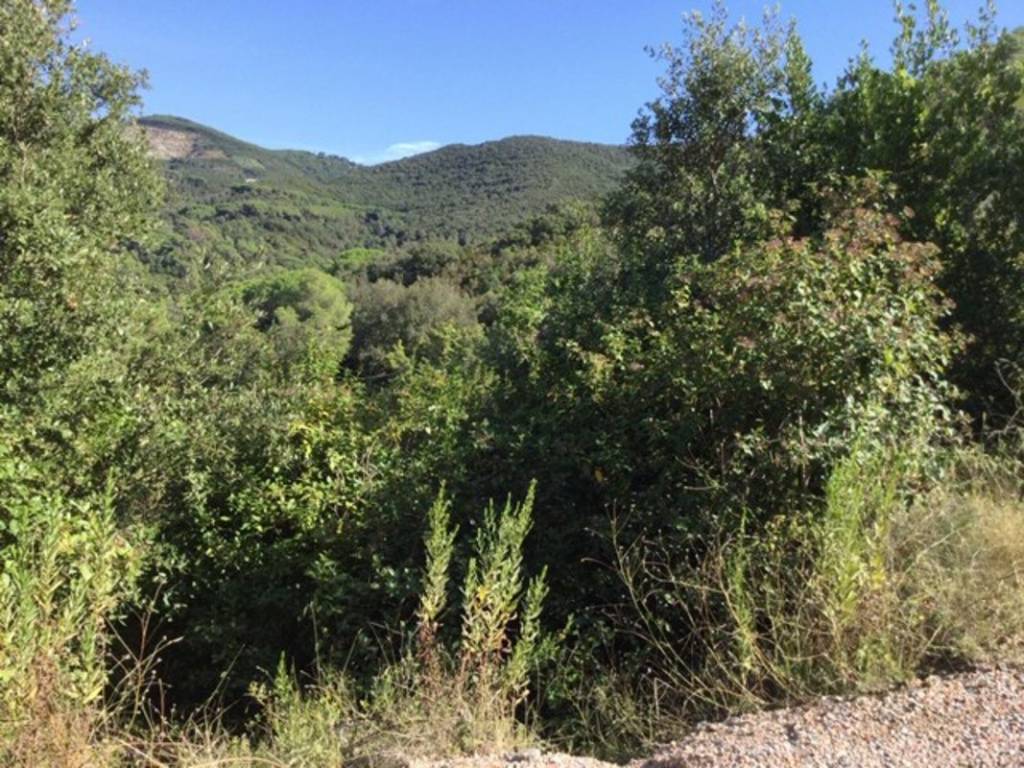 Terreno a Portoferraio in val carene, 3 - Foto 3