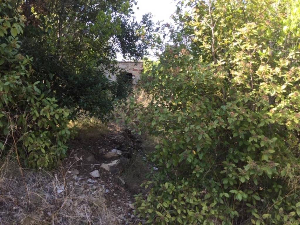Terreno a Portoferraio in val carene, 3 - Foto 4
