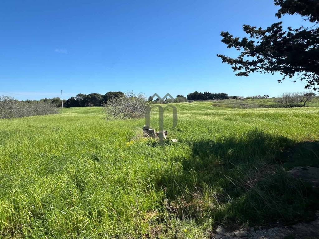 Rustico / casale a Carovigno in Riserva Naturale Torre Guaceto - Foto 3