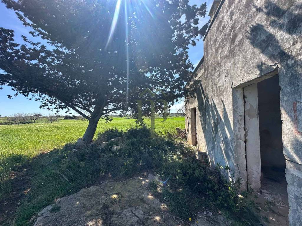 Rustico / casale a Carovigno in Riserva Naturale Torre Guaceto - Foto 4