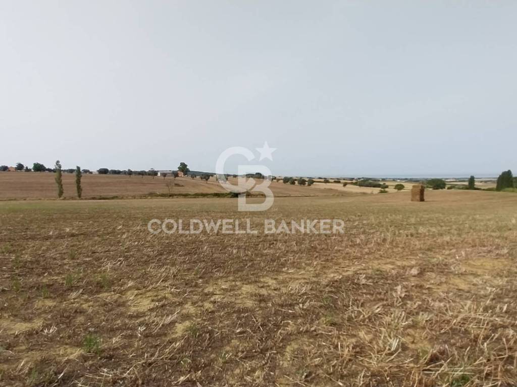 Rustico / casale a Tarquinia in Località Fontanil della Torre - Foto 3