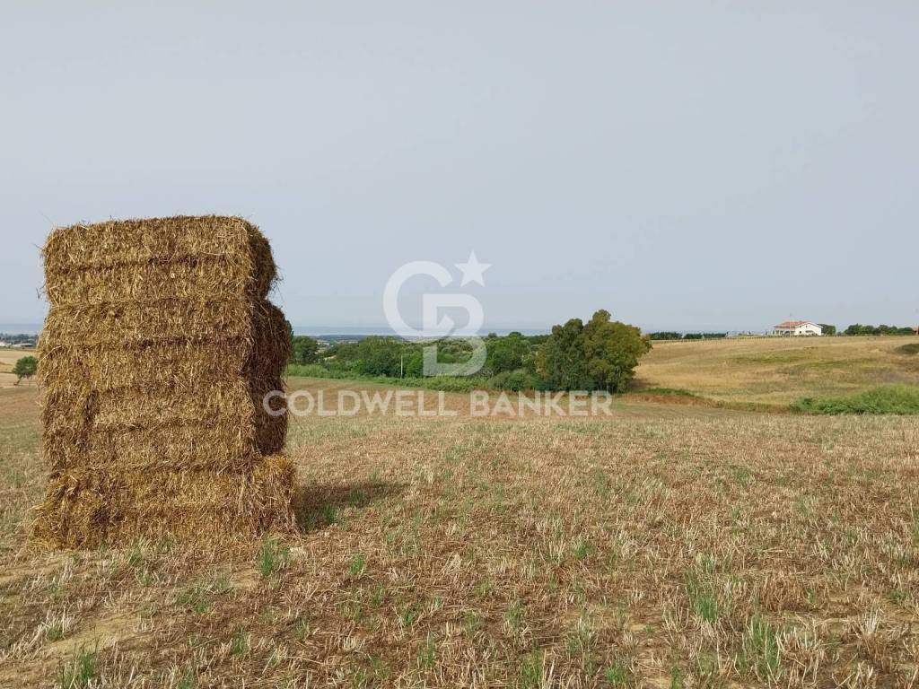 Rustico / casale a Tarquinia in Località Fontanil della Torre - Foto 4