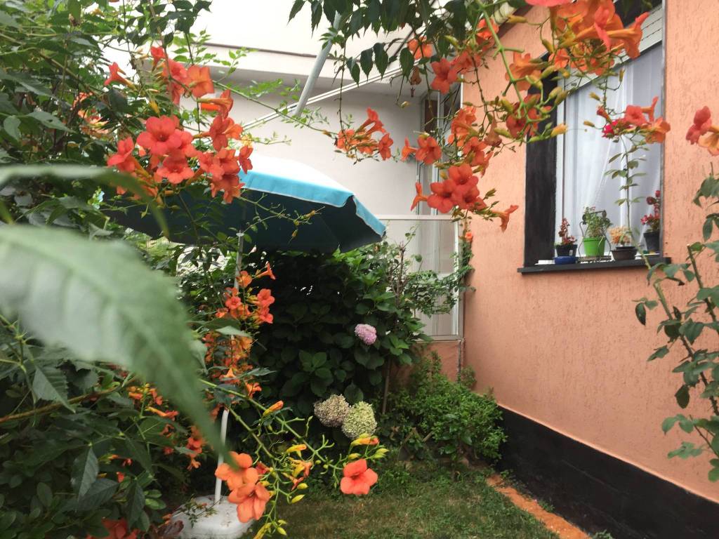 Appartamento a Recco - Foto 2