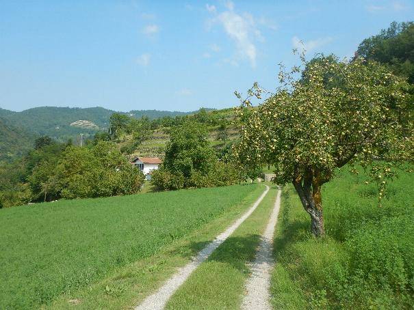Rustico / casale a Cortemilia in Strada San Giacomo - Foto 4