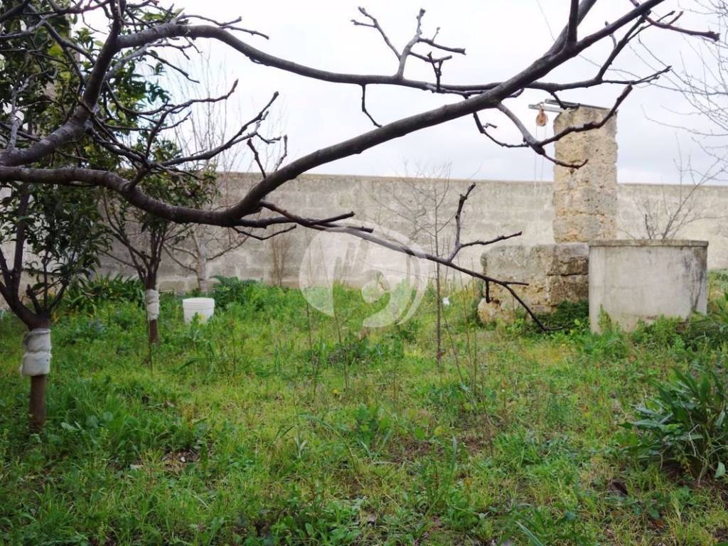 Terreno a Seclì in Via Antonio Gramsci, 11 - Foto 4