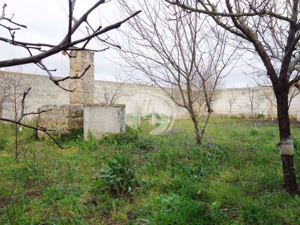 Terreno a Seclì in Via Antonio Gramsci, 11 - Foto 5