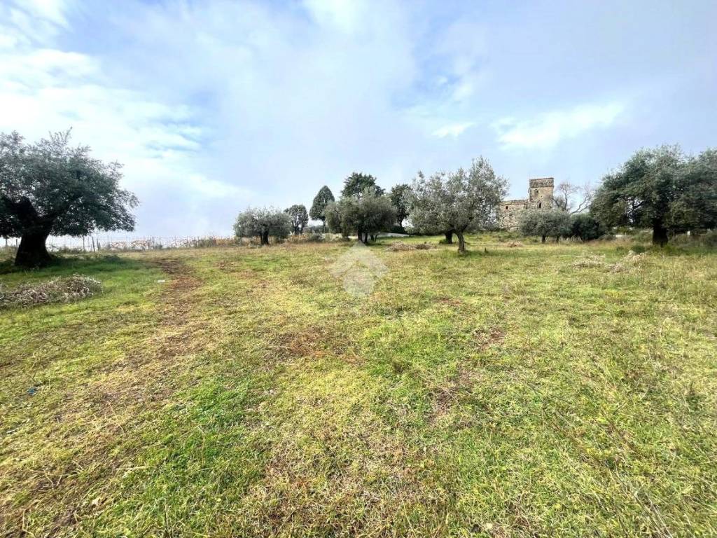 Rustico / casale a Narni in Str. di Castello, 2 - Foto 2