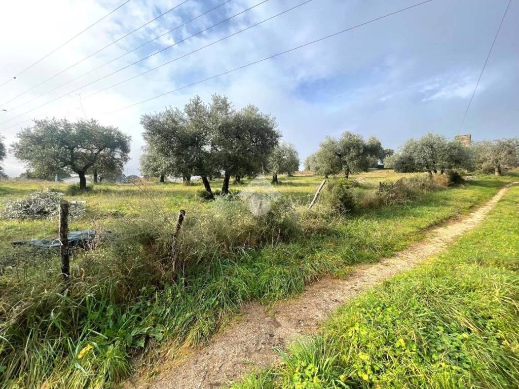 Rustico / casale a Narni in Str. di Castello, 2 - Foto 3